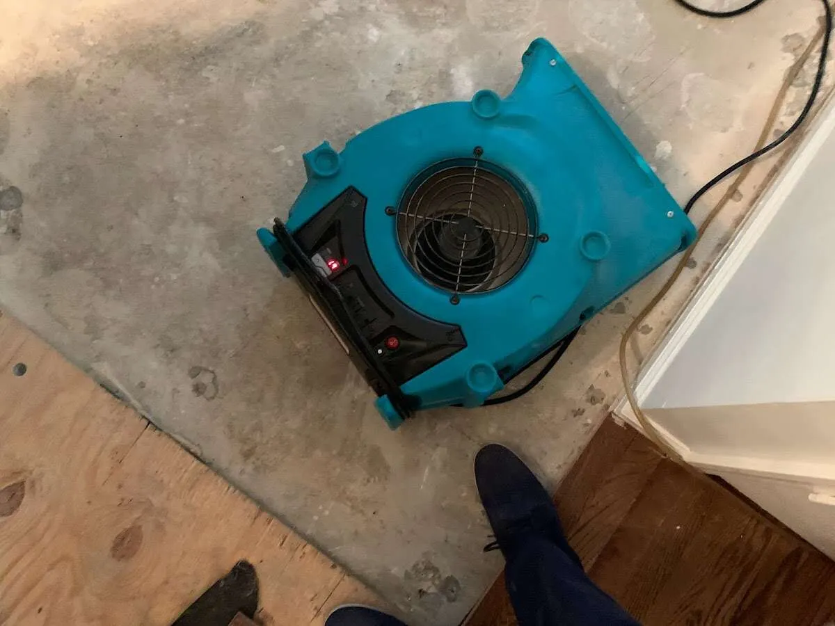 Air mover drying subfloor during Leak Detection & Repair in Rindge